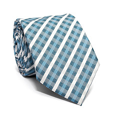 Галстук C&A голубой в клетку CA-4109