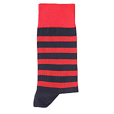 Шкарпетки чоловічі в синьо-червону смужку Аrt 246