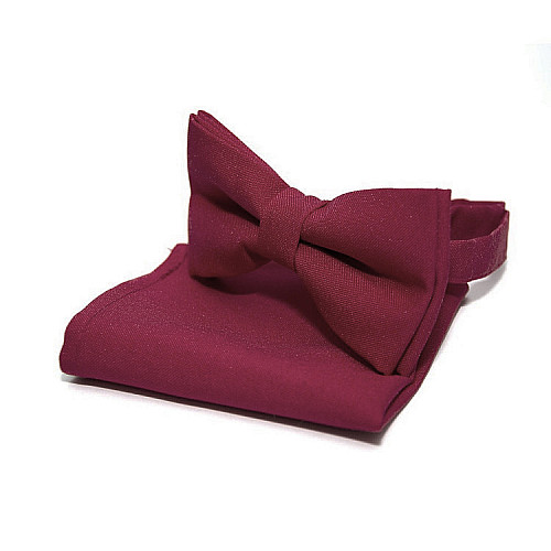 Набір 2 в 1 метелик Gofin з хустинкою бордового кольору ABN-12001