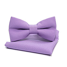 Набор 2 в 1 бабочка Gofin с платком сереньевого цвета ABN-12014