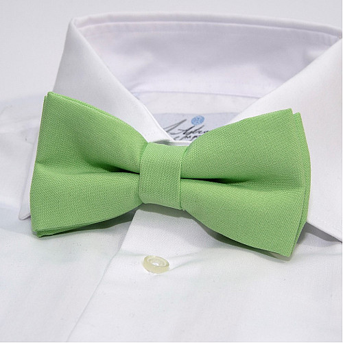 Набір 2 в 1 метелик Gofin з хустинкою мятного кольору ABN-12016