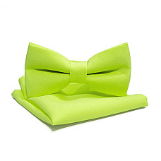 Набір 2 в 1 метелик Gofin з хустинкою кольору лайм ABN-12018