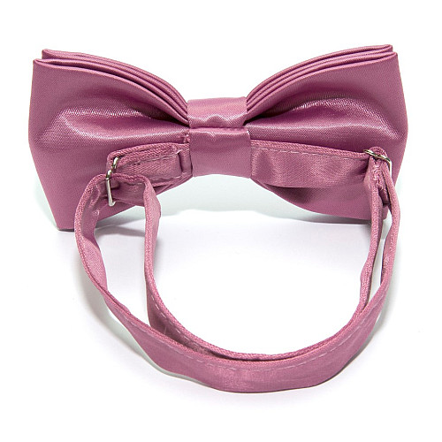 Краватка-метелик Gofin двошаровий бузковий AB-7253