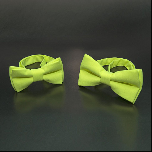 Набор 2 в 1 салатовая классическая бабочка для отца и сына Gofin BNG-13002