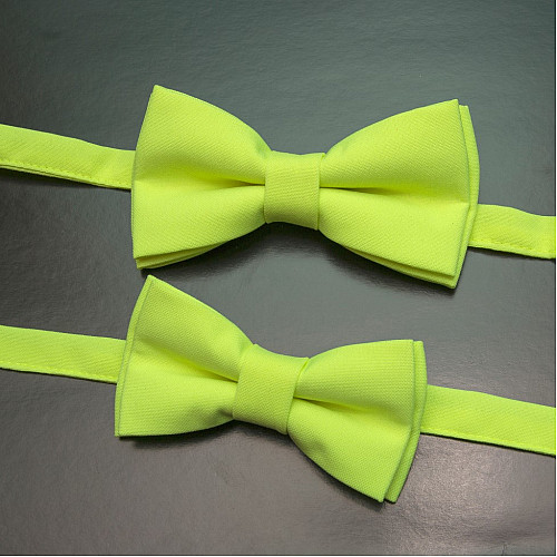 Набор 2 в 1 салатовая классическая бабочка для отца и сына Gofin BNG-13002