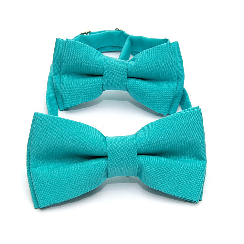 Набор 2 в 1 бирюзовая классическая бабочка для отца и сына Gofin BNG-13012