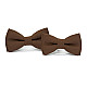 Набор 2 в 1 коричневая классическая бабочка для отца и сына Gofin BNG-13014