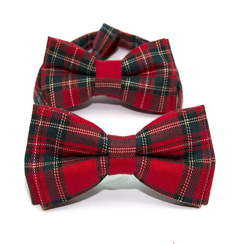 Набор 2 в 1 красная в клетку класическая бабочка для отца и сына Gofin BNG-13019