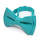 Детская галстук бабочка Gofin бирюзовая DGB-2614