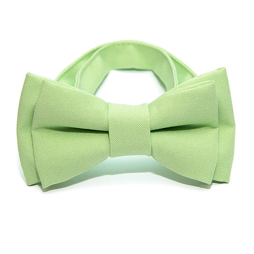 Детская галстук бабочка Gofin мятная DGB-2616