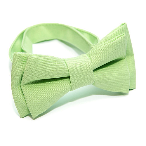 Детская галстук бабочка Gofin мятная DGB-2616