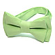 Детская галстук бабочка Gofin мятная DGB-2616