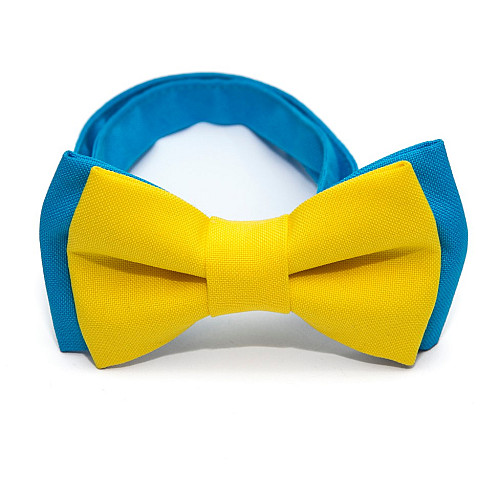 Детская галстук бабочка Gofin желто голубая DGB-2623