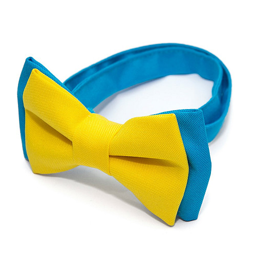 Детская галстук бабочка Gofin желто голубая DGB-2623