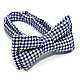 Детская галстук бабочка Gofin бело синяя в клетку DGB-2628