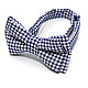 Детская галстук бабочка Gofin бело синяя в клетку DGB-2628