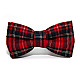 Детская Галстук бабочка Gofin красная в клетку DGB-2646