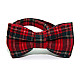 Детская Галстук бабочка Gofin красная в клетку DGB-2646