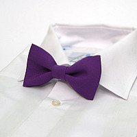 Краватка метелик Gofin фіолетовий однотонний GOF-1515