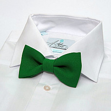 Краватка метелик Gofin світло-зелений однотонний GOF-1532
