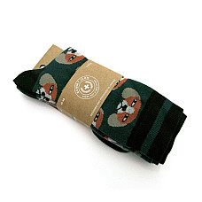 Носки JEROME SET зеленые с собачками набор 3 в 1 SIN-1713