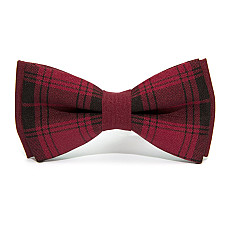 Бордовая галстук-бабочка Gofin в клетку AB-7238