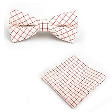 Бежевий набір, метелик і хустинка в червону клітку BPL-0824