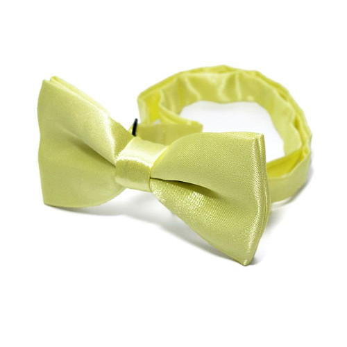 Дитячий краватка метелик Gofin світло-оливковий глянцевий DDB-030