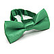 Детская зеленая галстук-бабочка Gofin глянцевая DDB-29037