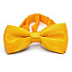 Детская желтая галстук-бабочка Gofin глянцевая DDB-29044