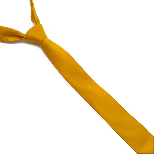 Золотиста сатинова краватка Gofin вузька однотонна FGS-21003