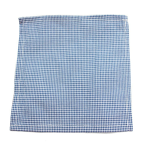 Хустинка синя в клітку PL-155