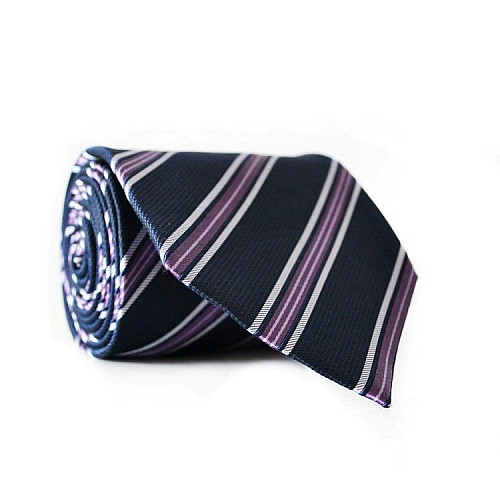 Галстук мужской Синий Фиолетовый Emilio Corali GIN-2126