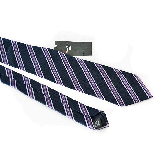 Галстук мужской Синий Фиолетовый Emilio Corali GIN-2126