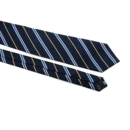 Синий галстук в полоски Emilio Corali GIN-2480