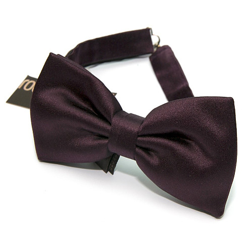 Баклажановий краватка-метелик Roberto Cavalli ZNM-1902