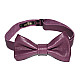Кожаная галстук бабочка фиолетовая GVR-2101