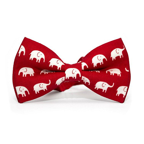 Набор детский красный подтяжки и бабочка с слониками NGU-4561